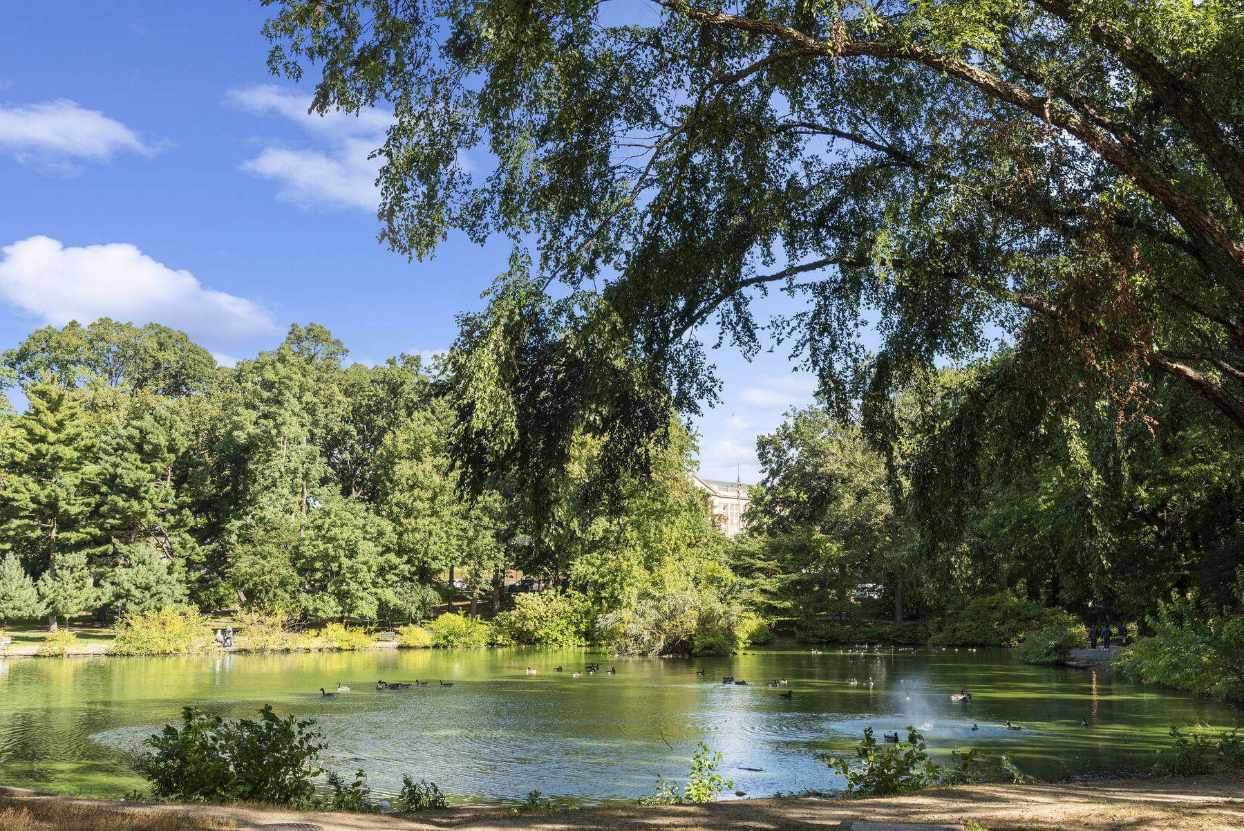 captain tilly park