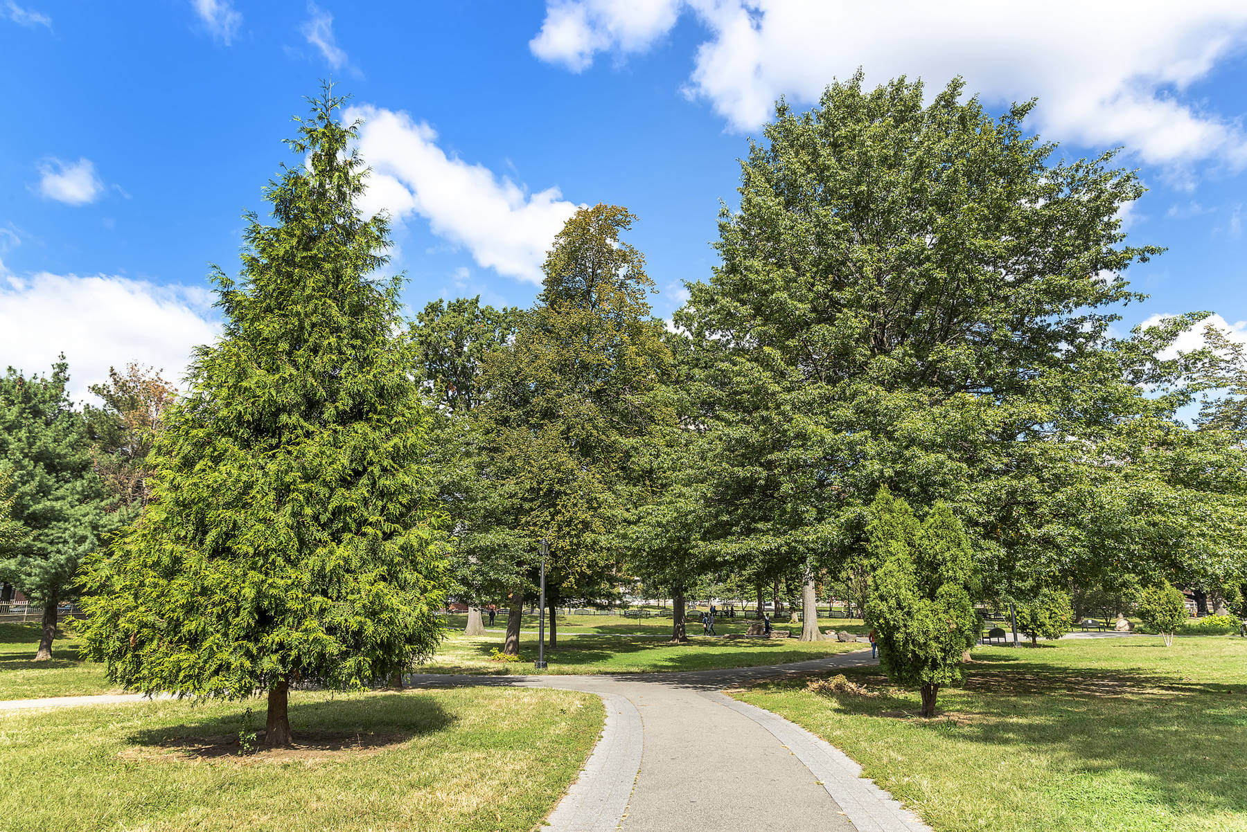 rufus king park