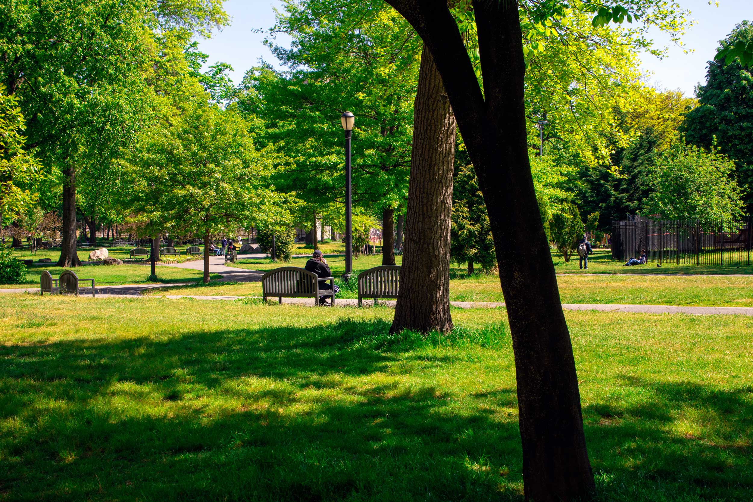 Rufus King Park